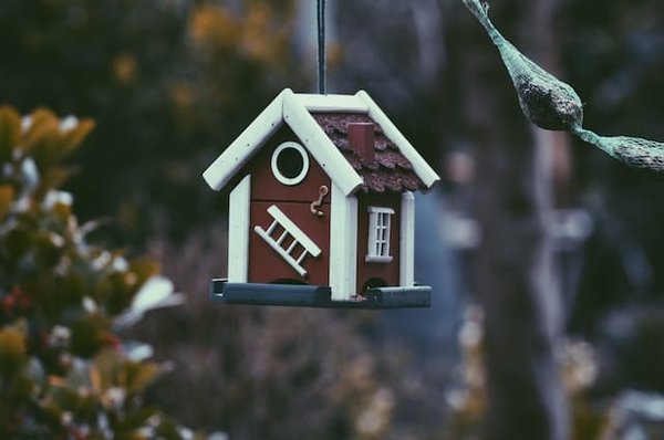 Quelles sont les dernières actualités immobilières en France ?